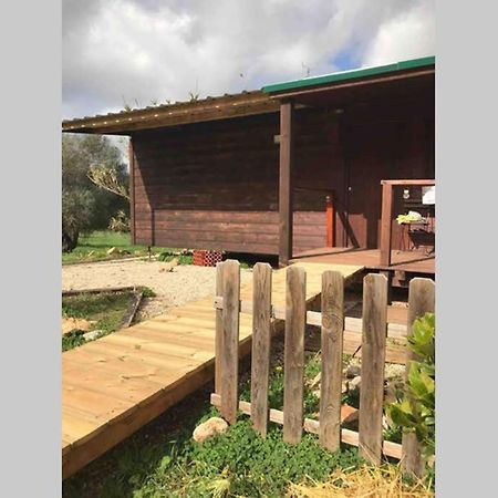 Glamorous Cabin On A Farm Vila do Bispo Luaran gambar