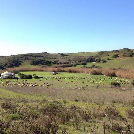 Glamorous Cabin On A Farm Vila do Bispo Luaran gambar