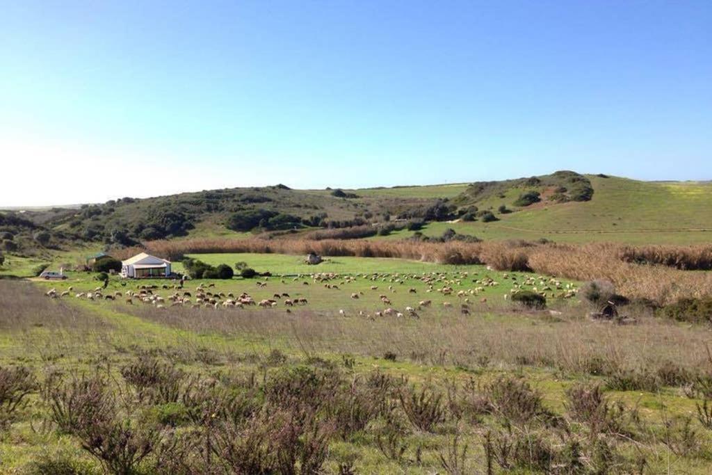 Glamorous Cabin On A Farm Vila do Bispo Luaran gambar